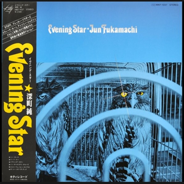 Jun Fukamachi ‎–
                
                                            Evening Star